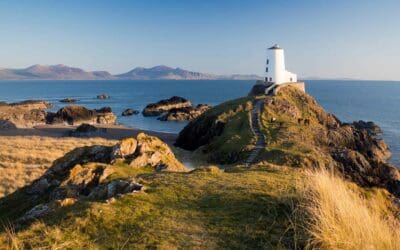 St Dwynwen’s Day – patron saint of love